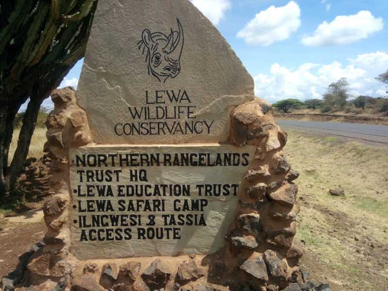 Lewa 